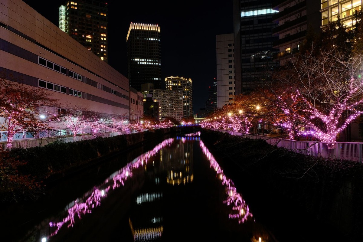 f:id:fudsuki:20191201161835j:plain