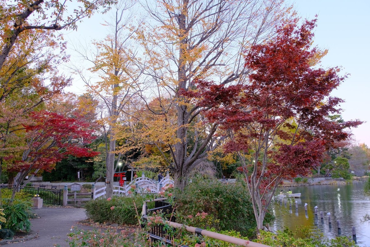 f:id:fudsuki:20191201164226j:plain