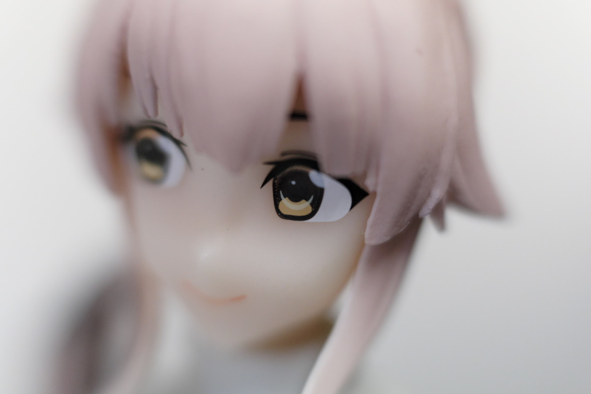 f:id:fudsuki:20200501172617j:plain