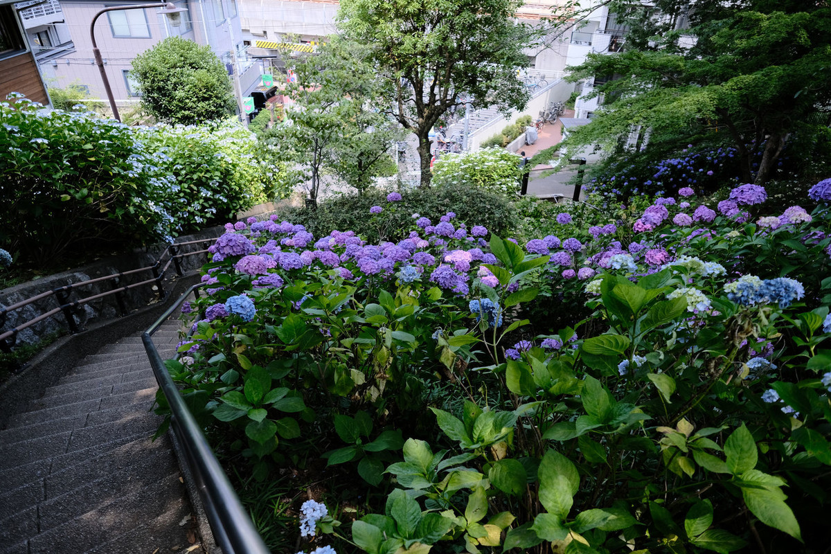 f:id:fudsuki:20200618140123j:plain