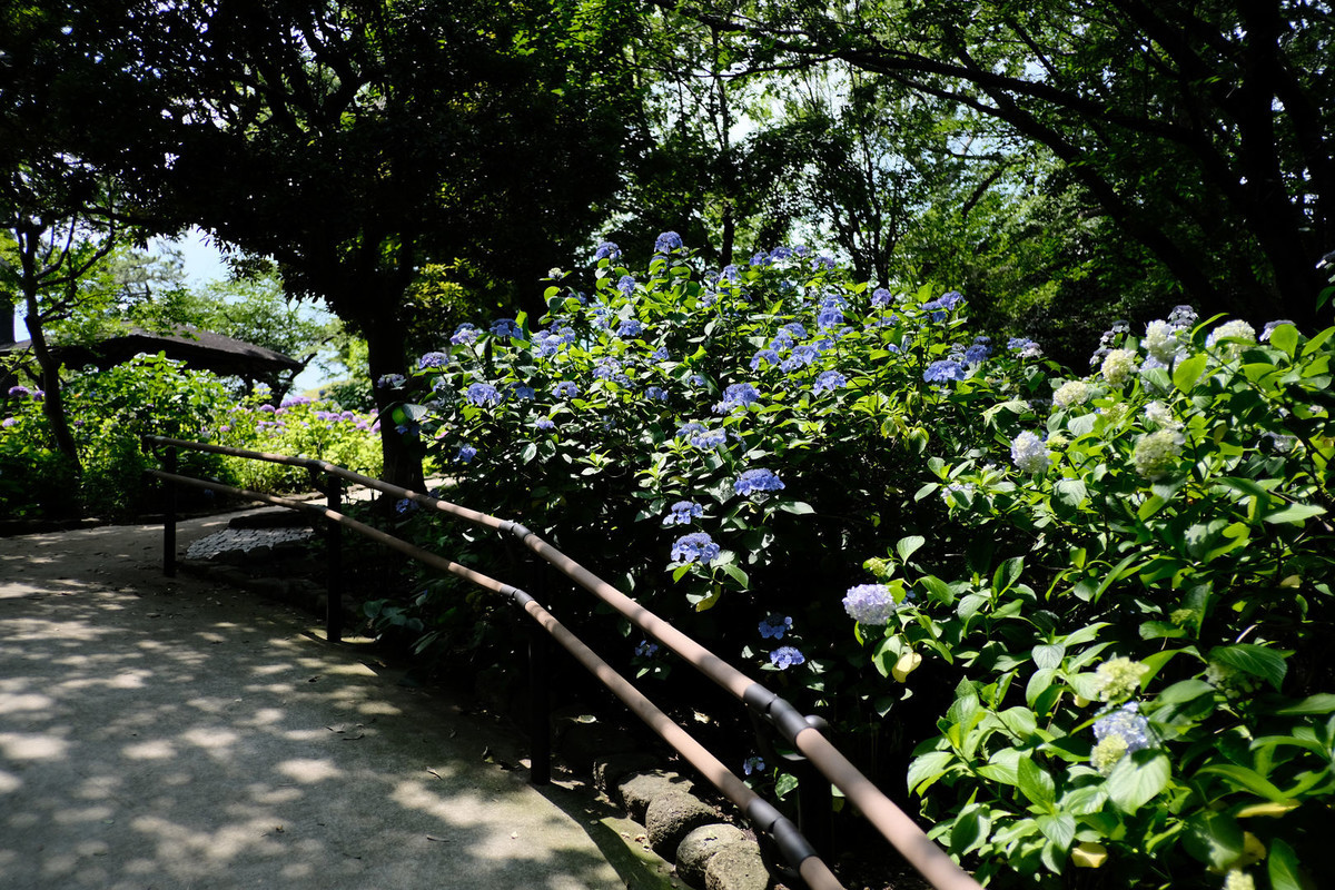f:id:fudsuki:20200618141950j:plain