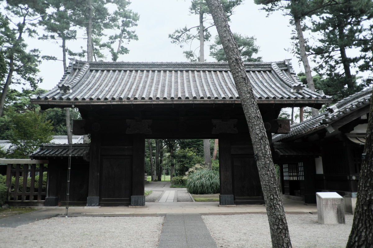 f:id:fudsuki:20200922114844j:plain