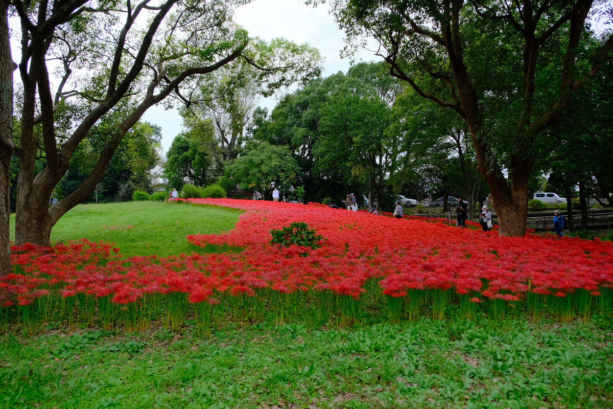 f:id:fudsuki:20201010151656j:plain f:id:fudsuki:20201010151656j:plain