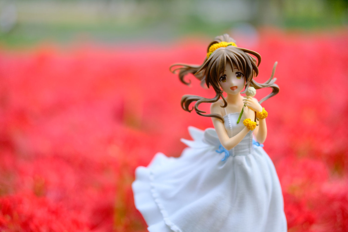 f:id:fudsuki:20201010153143j:plain f:id:fudsuki:20201010153143j:plain