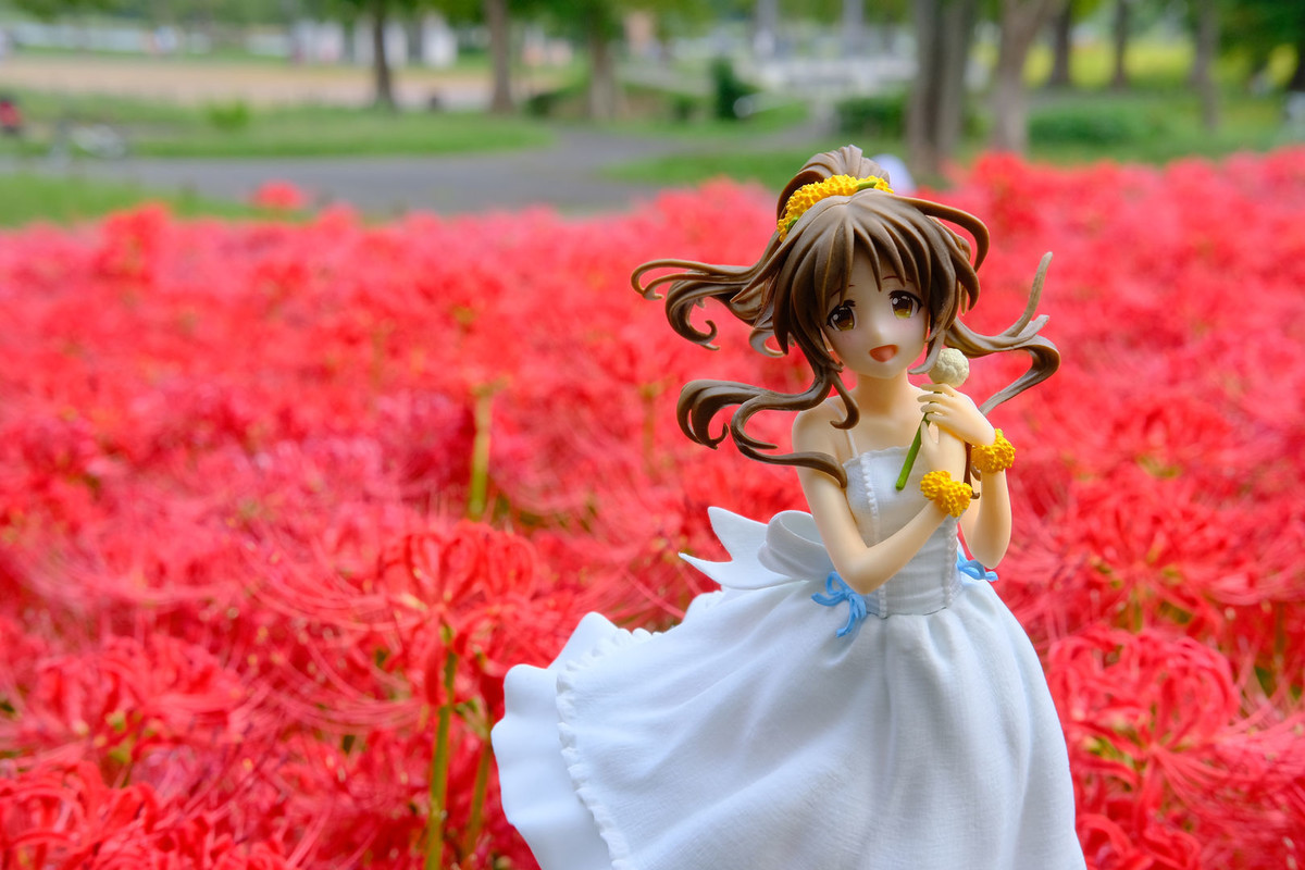 f:id:fudsuki:20201010153407j:plain f:id:fudsuki:20201010153407j:plain