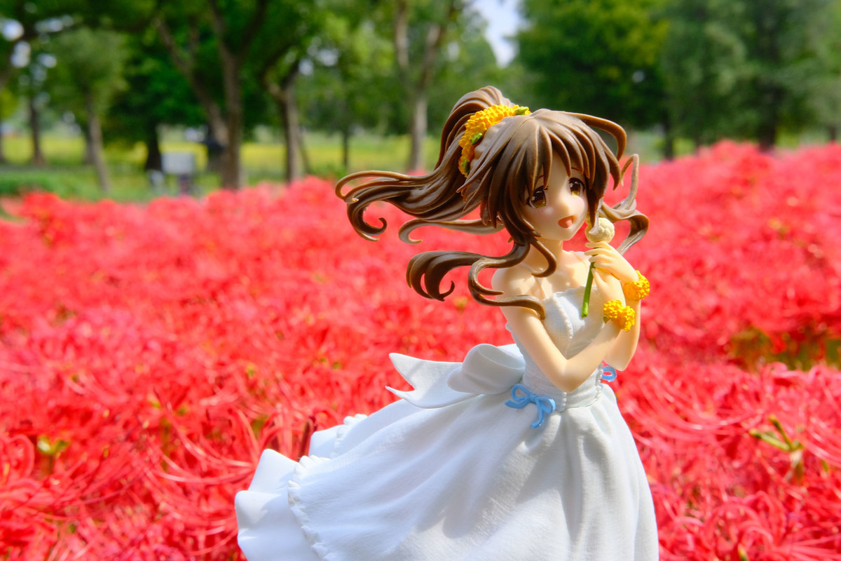 f:id:fudsuki:20201010153551j:plain f:id:fudsuki:20201010153551j:plain