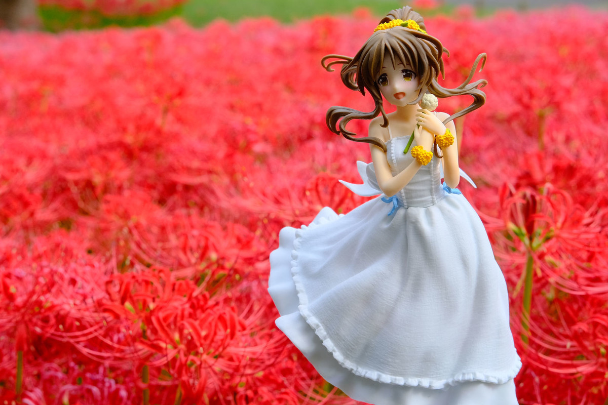 f:id:fudsuki:20201010153909j:plain f:id:fudsuki:20201010153909j:plain