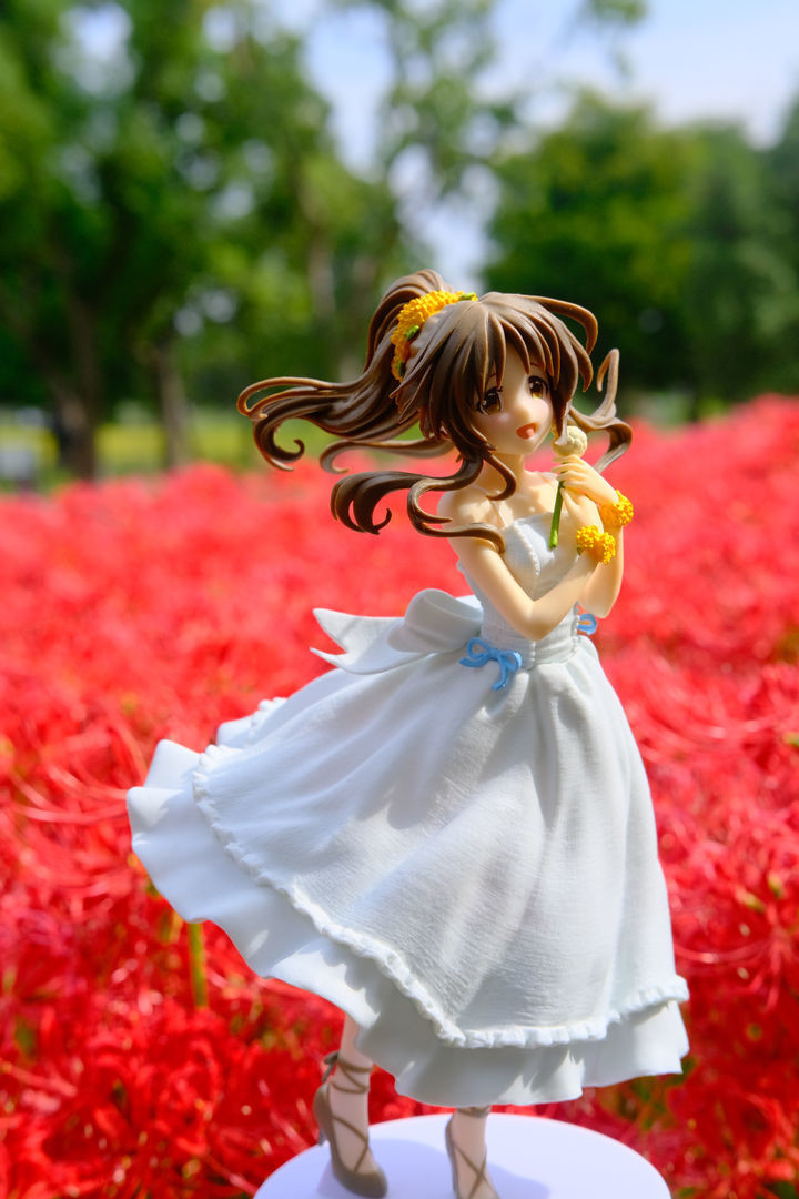 f:id:fudsuki:20201010154042j:plain f:id:fudsuki:20201010154042j:plain