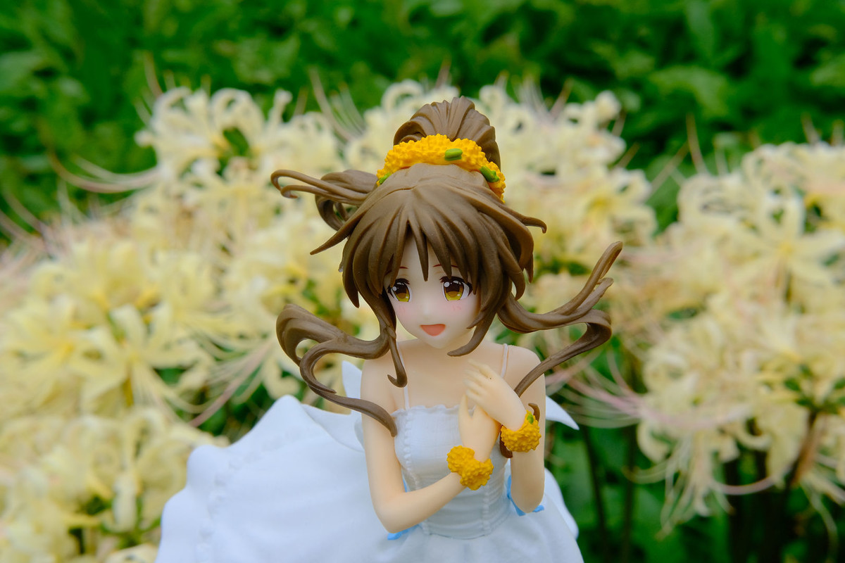 f:id:fudsuki:20201010154218j:plain f:id:fudsuki:20201010154218j:plain