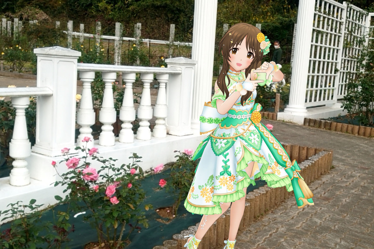f:id:fudsuki:20201106140939j:plain