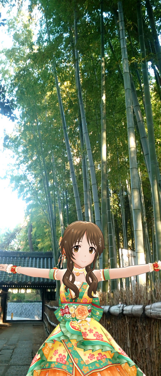 f:id:fudsuki:20201115110204j:plain