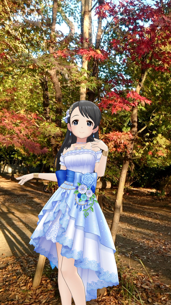 f:id:fudsuki:20201115111834j:plain