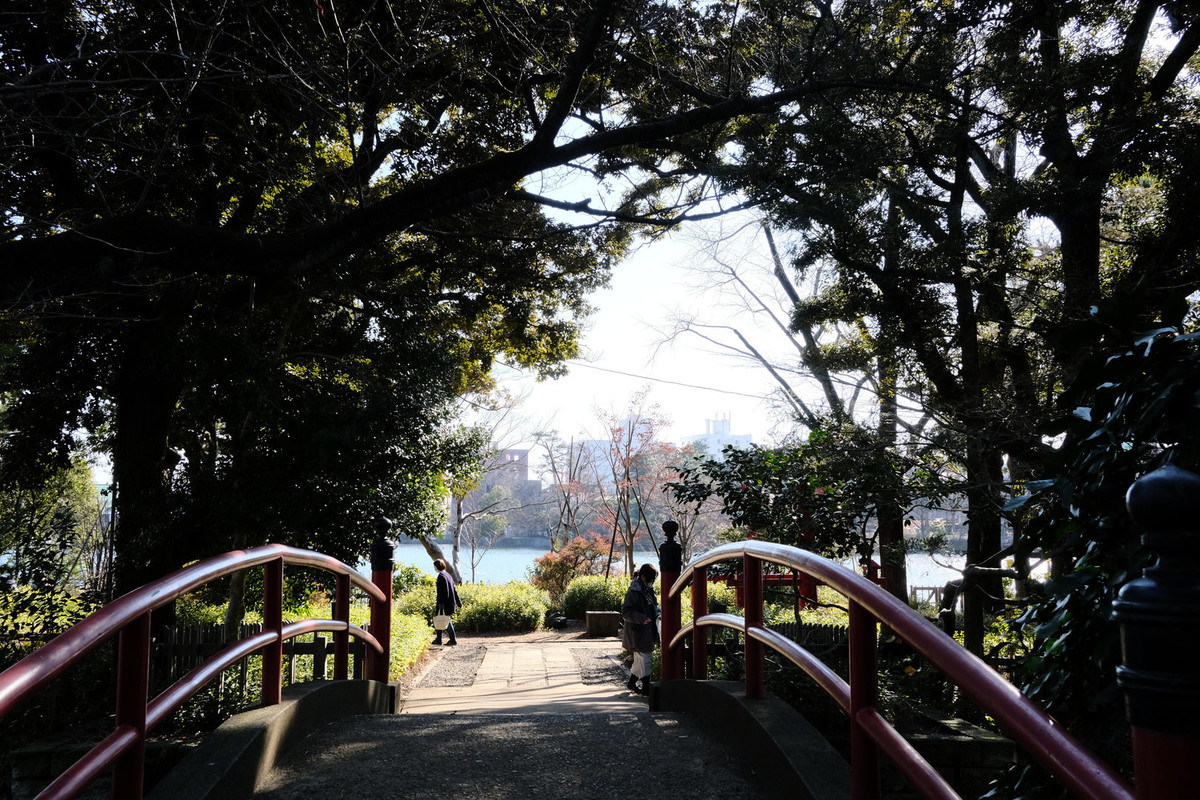 f:id:fudsuki:20210206151022j:plain