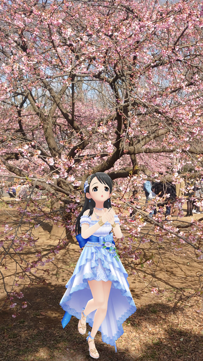 f:id:fudsuki:20210214141439j:plain
