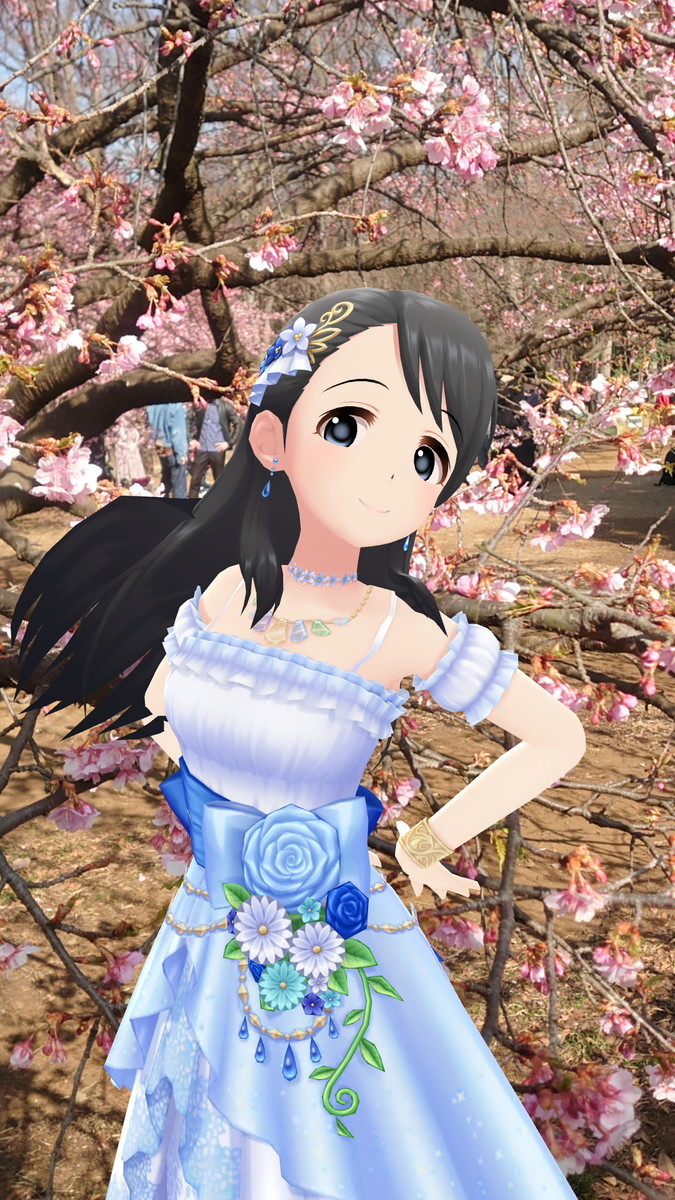 f:id:fudsuki:20210214141444j:plain