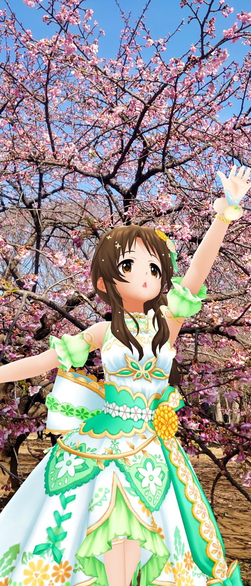 f:id:fudsuki:20210214141753j:plain