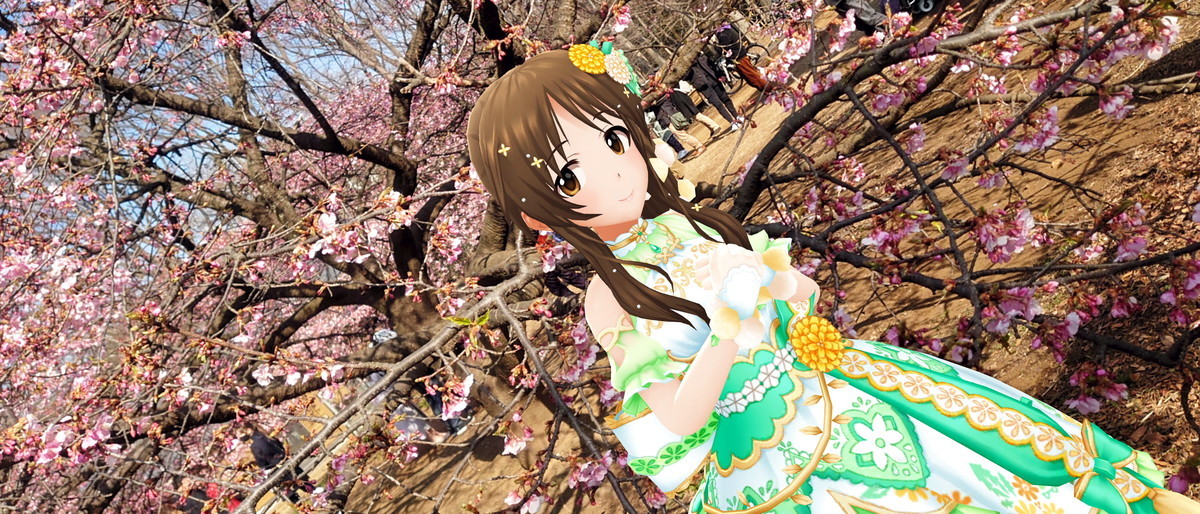 f:id:fudsuki:20210214141800j:plain