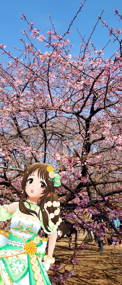 f:id:fudsuki:20210214141825j:plain