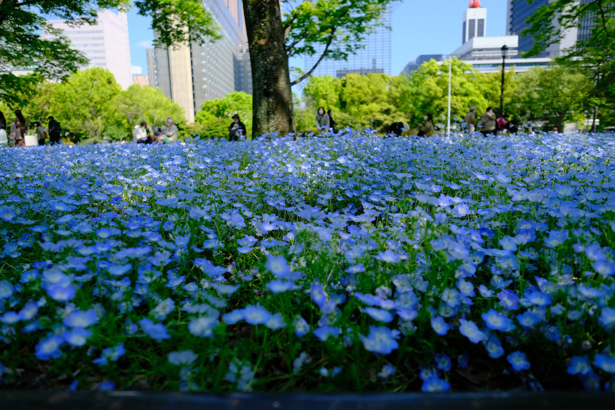 f:id:fudsuki:20210413122309j:plain