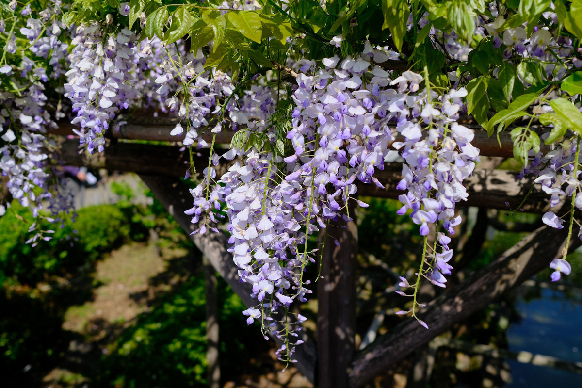 f:id:fudsuki:20210418111105j:plain