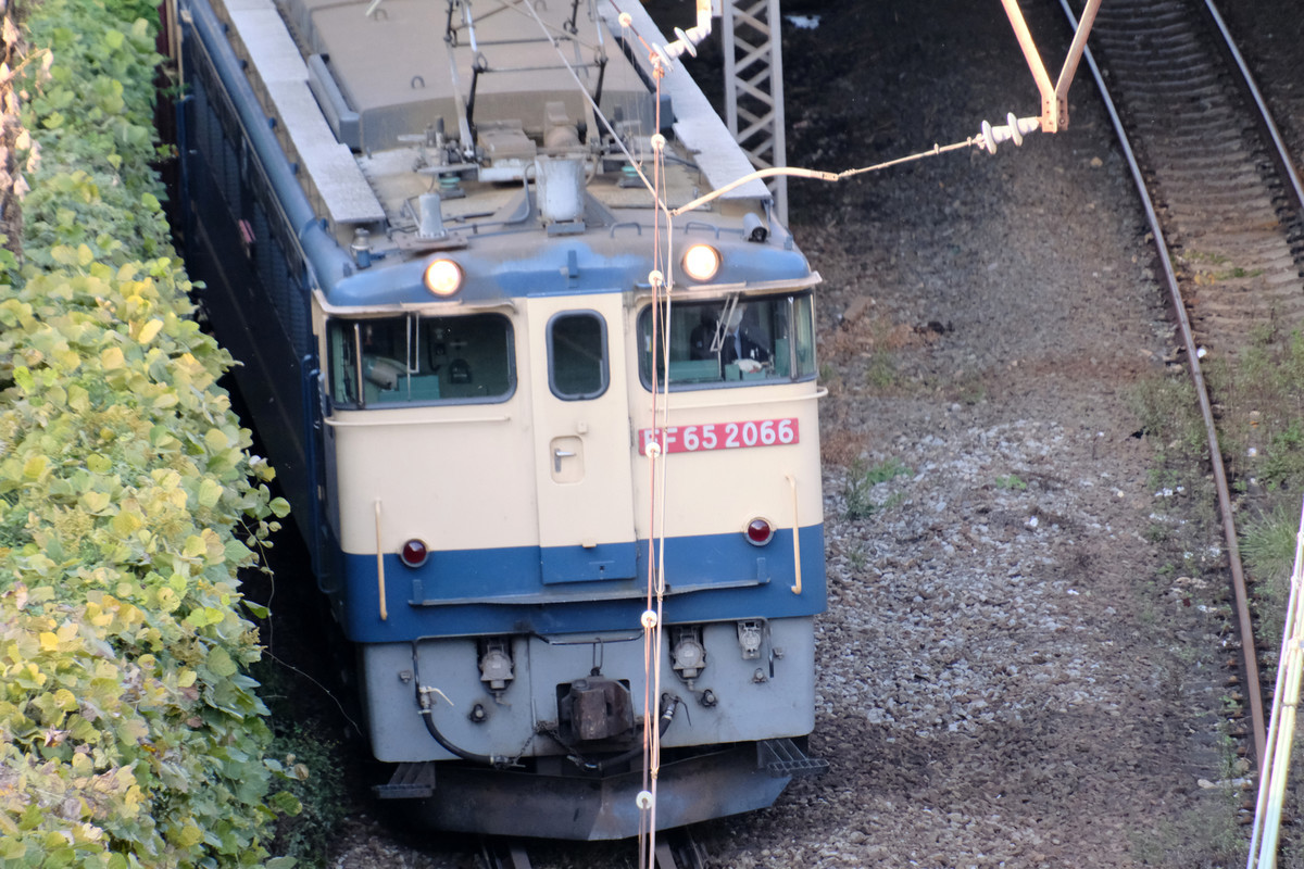f:id:fudsuki:20211105165807j:plain