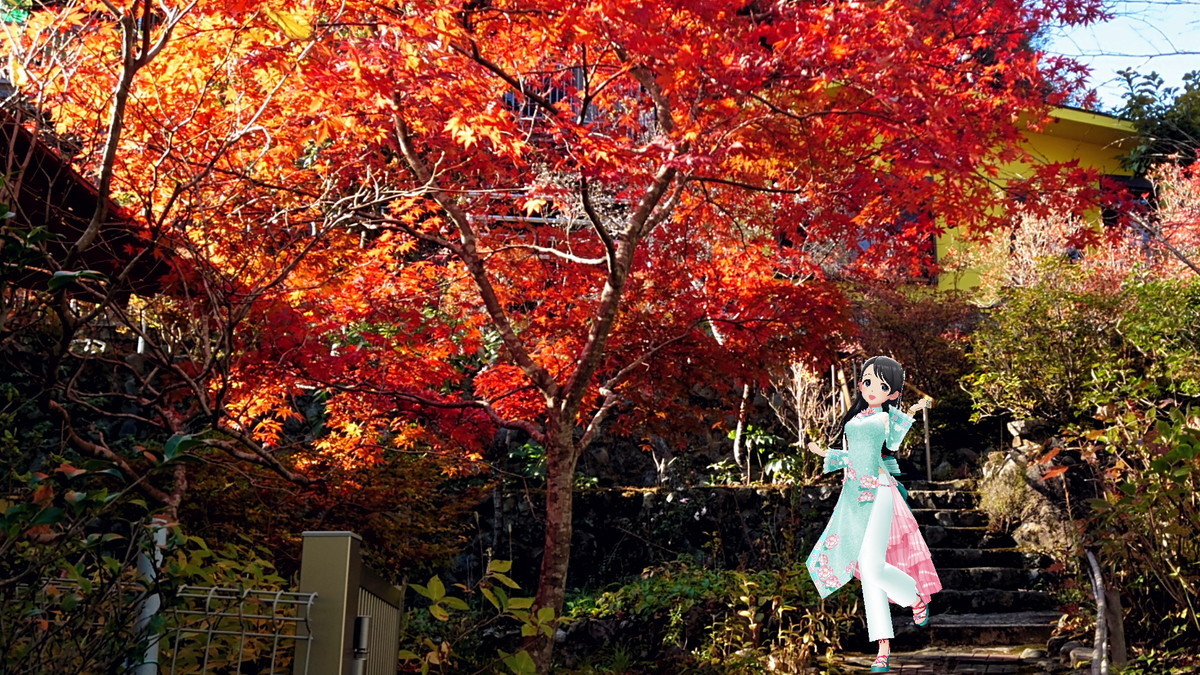 f:id:fudsuki:20211114183037j:plain