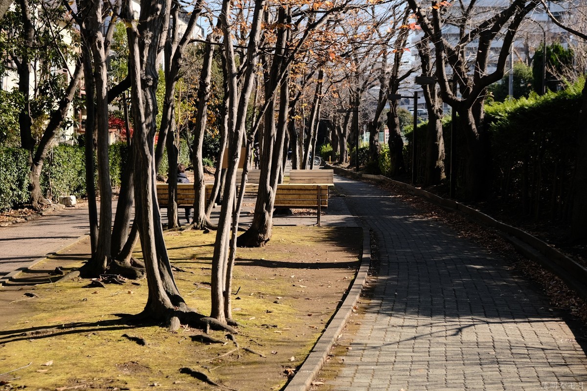 f:id:fudsuki:20211222151139j:plain