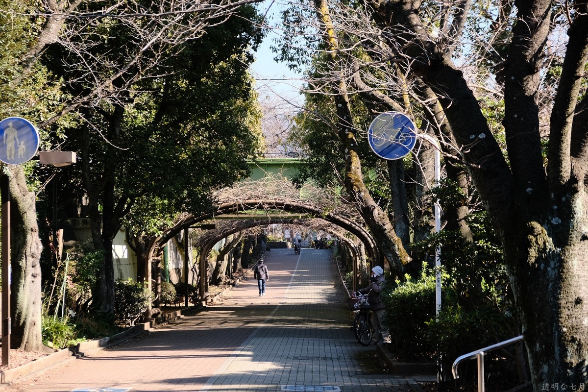 f:id:fudsuki:20211222151225j:plain