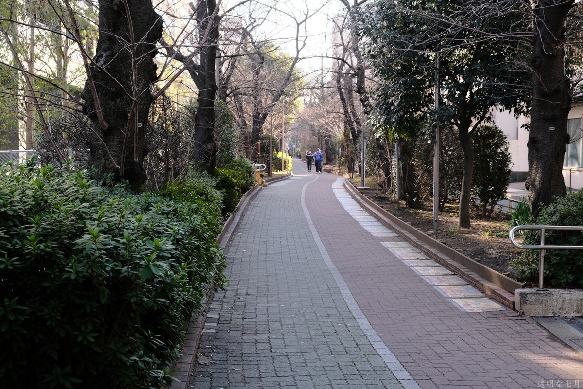 f:id:fudsuki:20211222202405j:plain