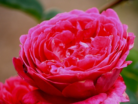 f:id:fuduki17:20110605100633j:image f:id:fuduki17:20110605100633j:image
