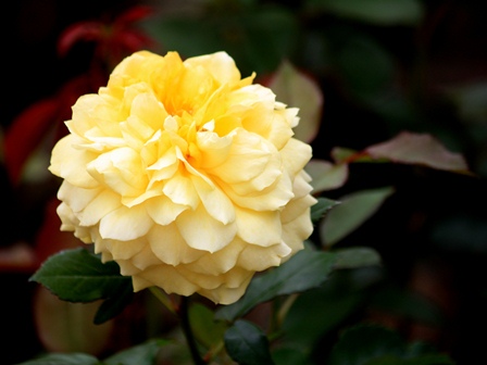 f:id:fuduki17:20110605101200j:image f:id:fuduki17:20110605101200j:image
