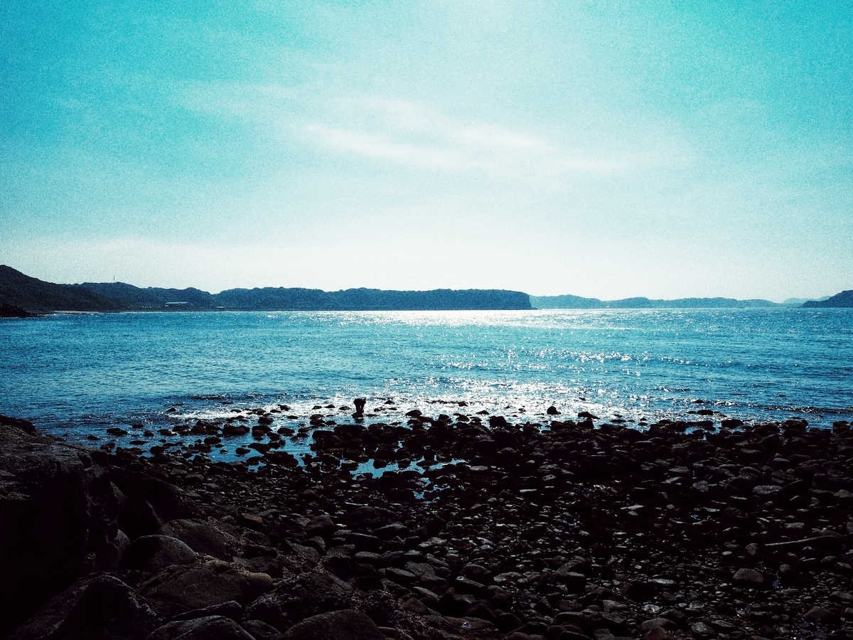 f:id:fuen-neko:20200627131735j:plain
