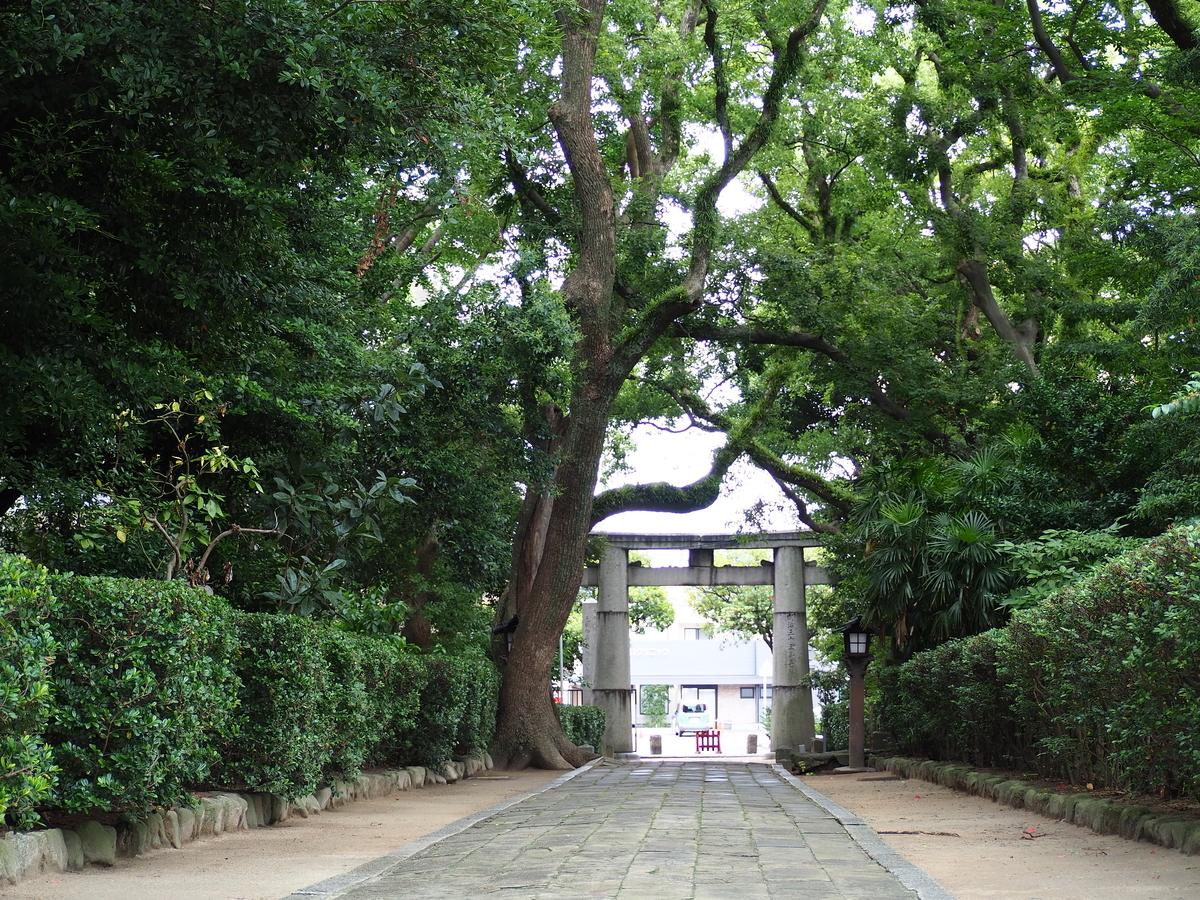 f:id:fuen-neko:20200710112225j:plain