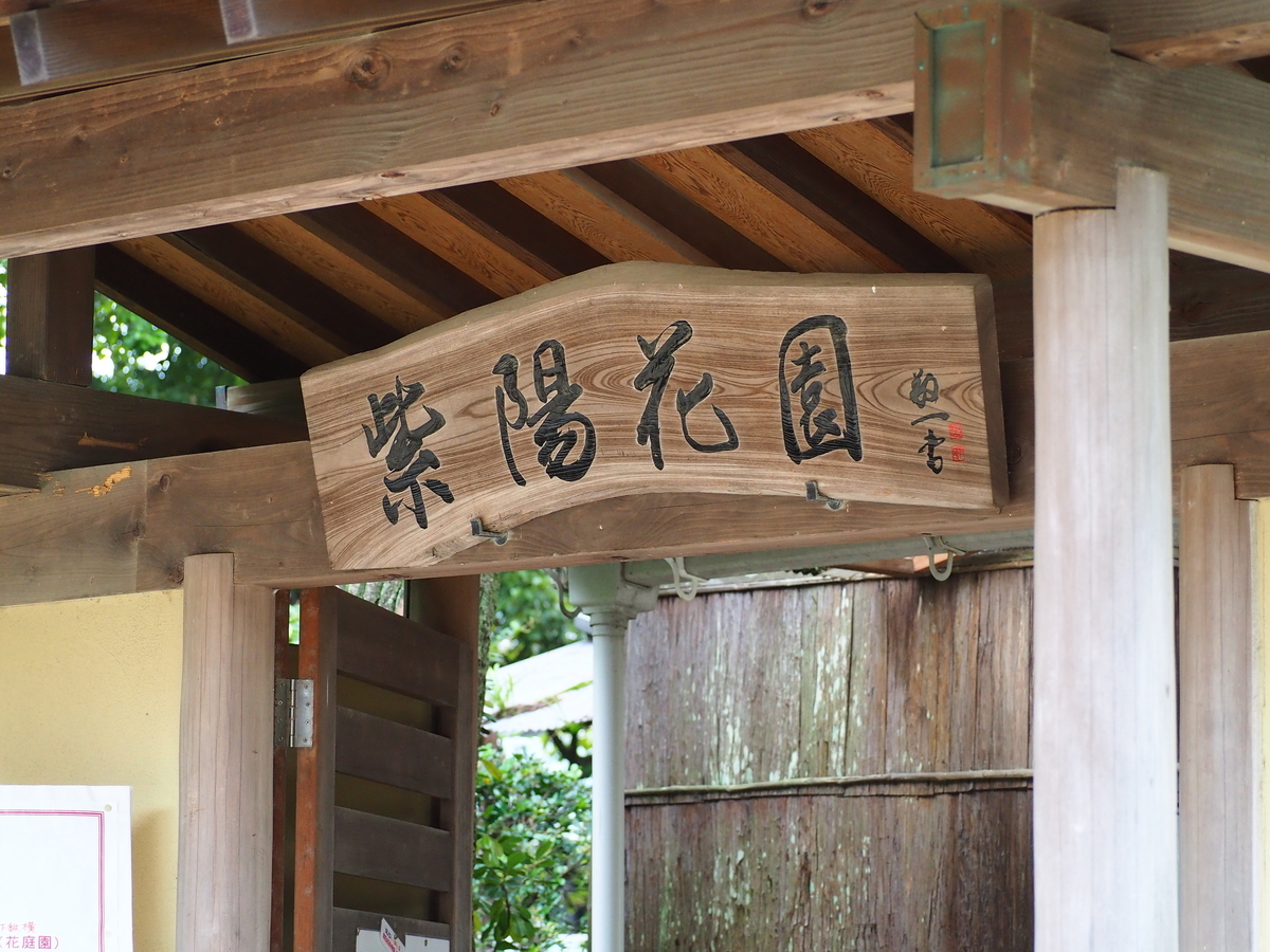 f:id:fuen-neko:20200710112308j:plain