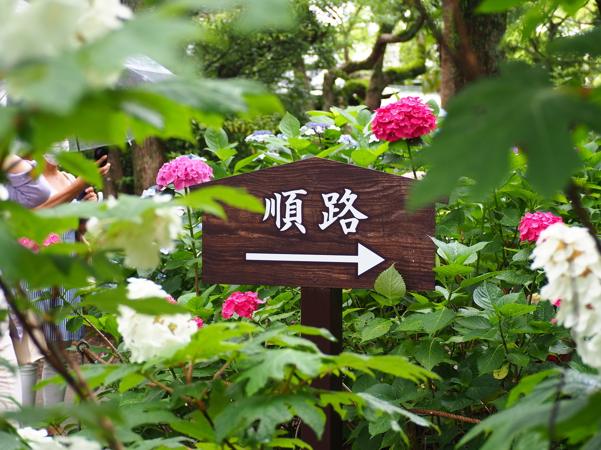 f:id:fuen-neko:20200710115608j:plain