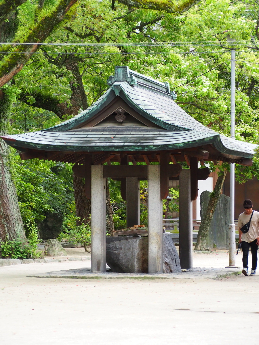 f:id:fuen-neko:20200710131619j:plain