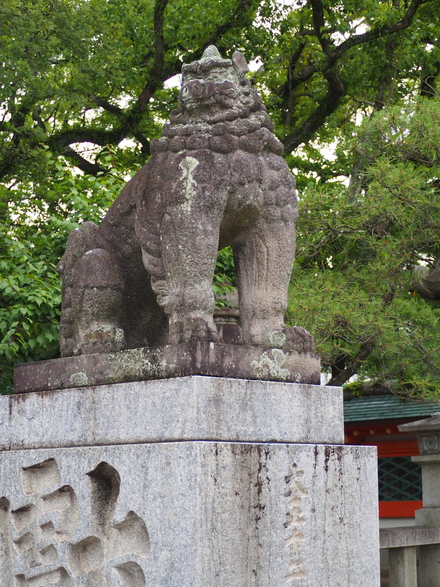 f:id:fuen-neko:20200710131648j:plain