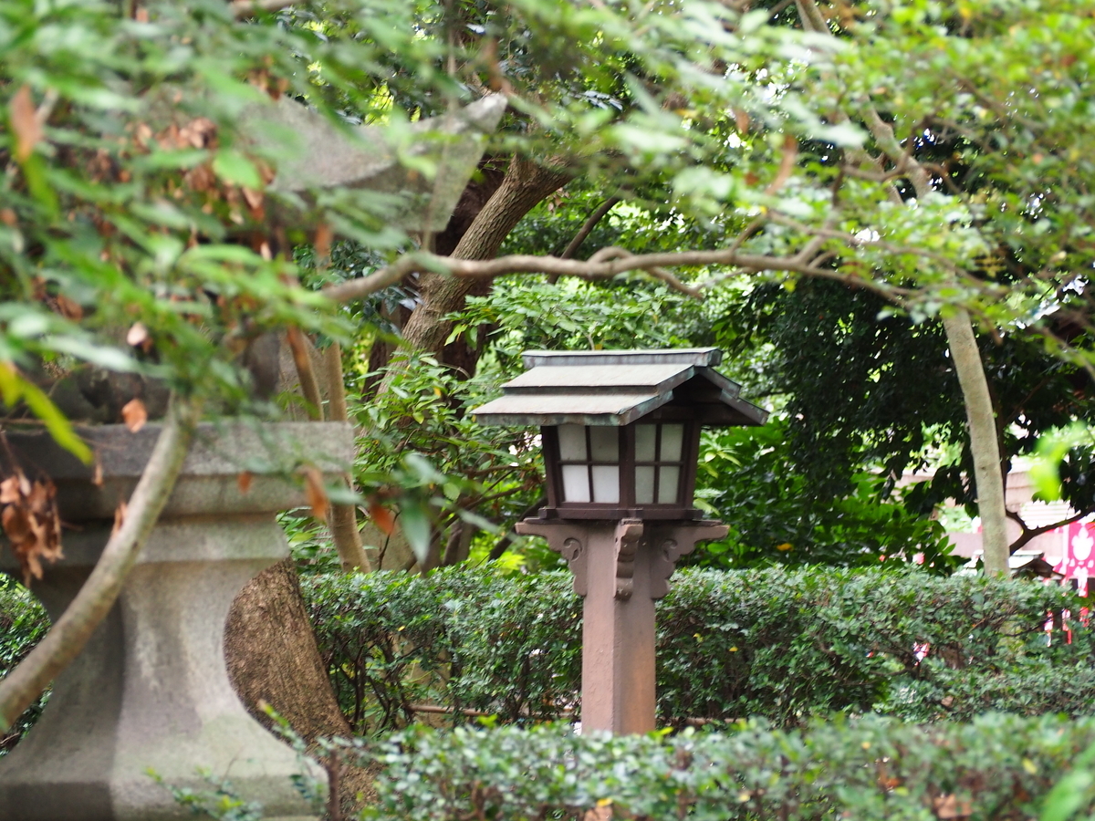 f:id:fuen-neko:20200710131803j:plain