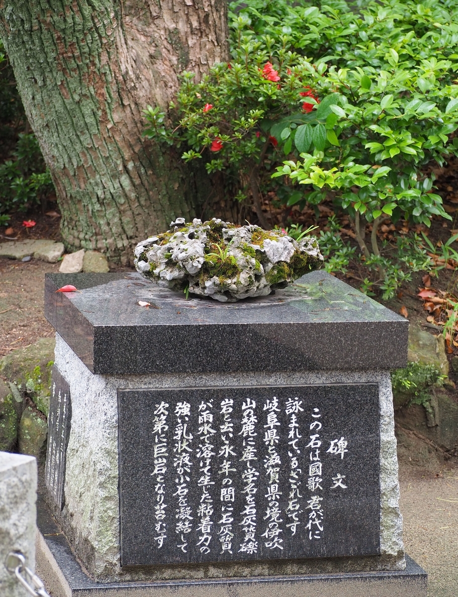 f:id:fuen-neko:20200710132513j:plain