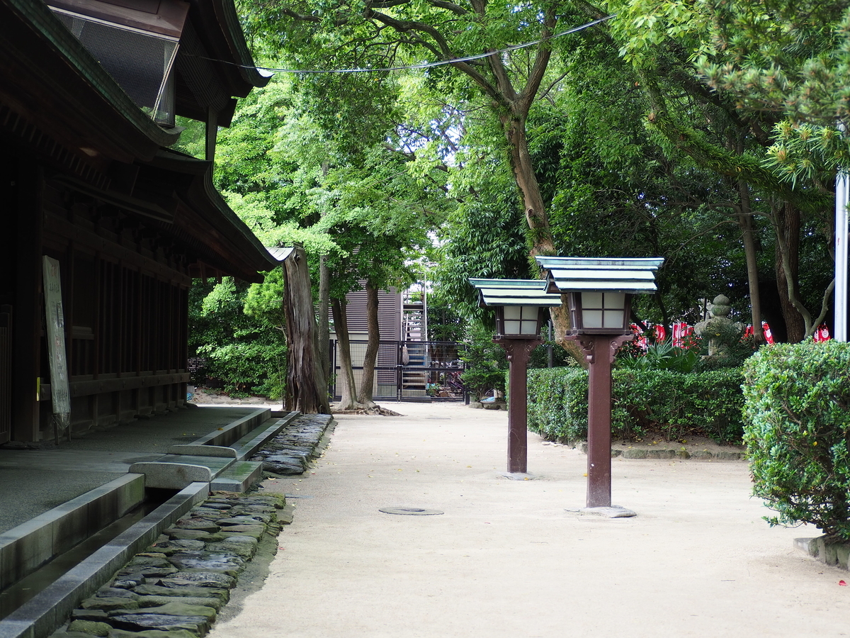f:id:fuen-neko:20200710133403j:plain
