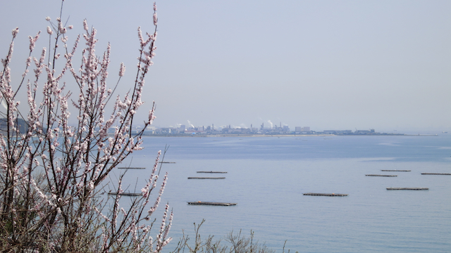 f:id:fufufuholdings:20120402122155j:image