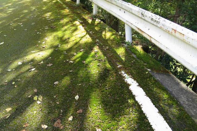 f:id:fufufuholdings:20121029133930j:image