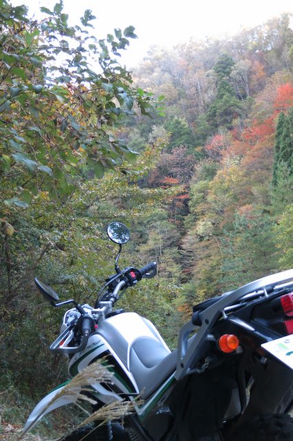 f:id:fufufuholdings:20121029134412j:image