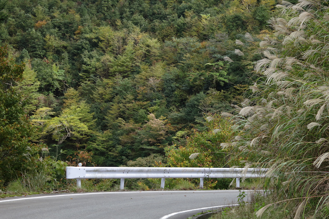 f:id:fufufuholdings:20121029141156j:image