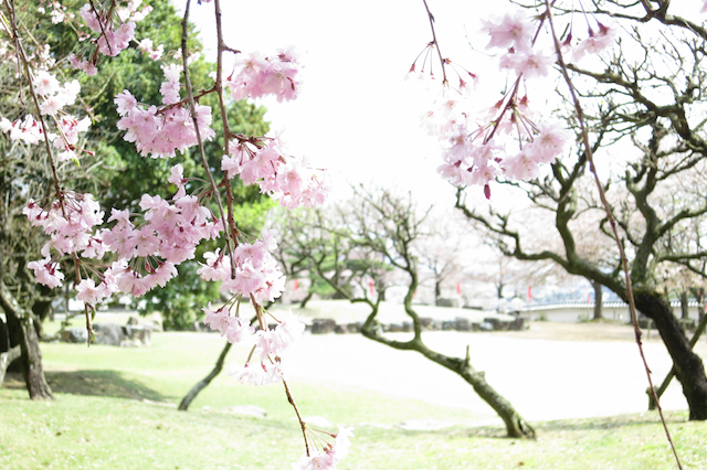 f:id:fufufuholdings:20130409132103j:image
