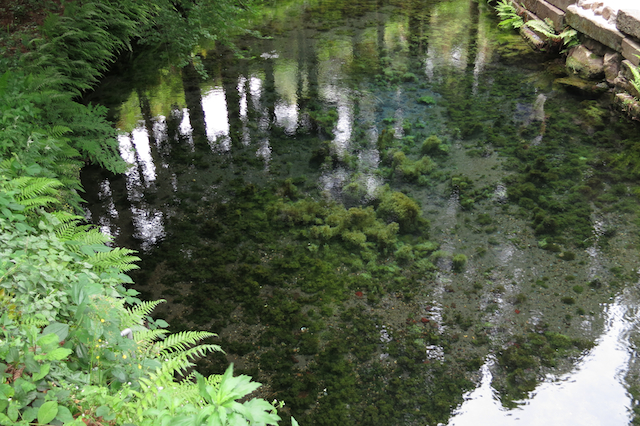 f:id:fufufuholdings:20130516101004j:image