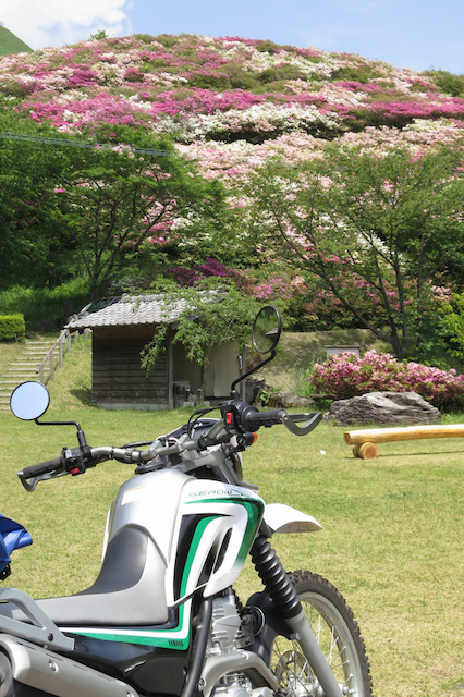 f:id:fufufuholdings:20130516125746j:image