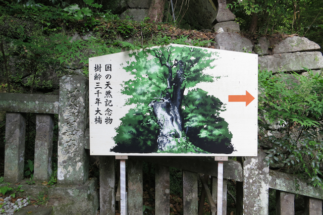 f:id:fufufuholdings:20130516170606j:image