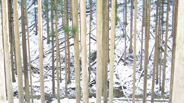 f:id:fufufuholdings:20140311151020j:image