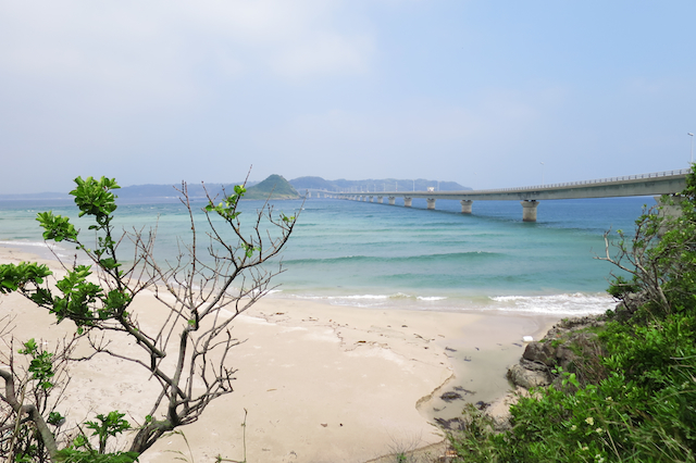 f:id:fufufuholdings:20140513094537j:image